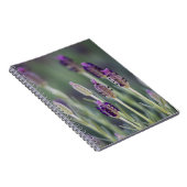 Mexikanischer Lavendel Notizblock (Rechte Seite)