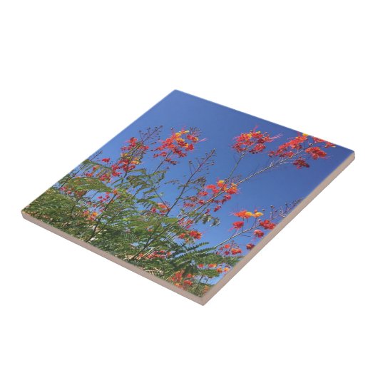 Mexikanischer Paradiesvogel Fliese (Seite)