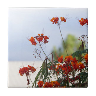 Mexikanischer Paradiesvogel Fliese