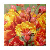 Mexikanischer Paradiesvogel Fliese (Vorderseite)