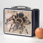 Mexikanischer Roter Knie Tarantula Spider Metall Brotdose (Beispiel)