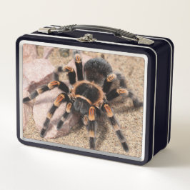 Mexikanischer Roter Knie Tarantula Spider Metall Brotdose