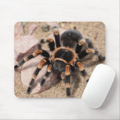 Mexikanischer Roter Knie Tarantula Spider Mousepad (Mit Mouse)