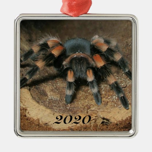 Mexikanischer Roter Knie Tarantula Spider Ornament Aus Metall (Vorne)
