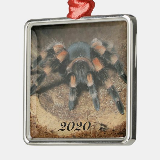 Mexikanischer Roter Knie Tarantula Spider Ornament Aus Metall (Links)