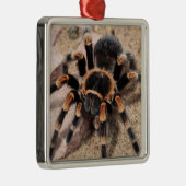 Mexikanischer Roter Knie Tarantula Spider Ornament Aus Metall (Rechts)