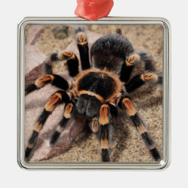 Mexikanischer Roter Knie Tarantula Spider Ornament Aus Metall