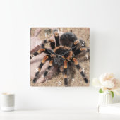 Mexikanischer Roter Knie Tarantula Spider Quadratische Wanduhr (Zuhause)