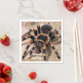 Mexikanischer Roter Knie Tarantula Spider Serviette (Beispiel)