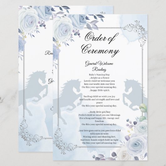 Mexikanischer Silbertauforden (Vorne/Hinten)