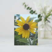 Mexikanischer Sonnenblumen Postkarte (Stehend Vorderseite)
