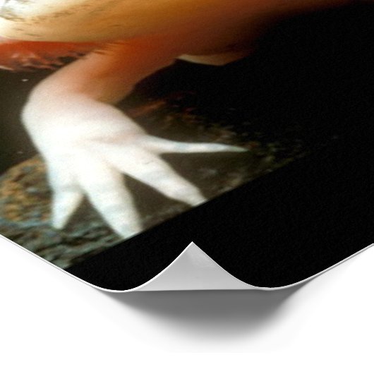 Mexikanischer Walking Fisch Poster (Ecke)