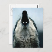 Mexikanischer Wolf, gefährdete Arten, Sonorische W Postkarte (Vorne/Hinten)