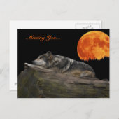Mexikanischer Wolf & Mond - Vermisst Sie... Postkarte (Vorne/Hinten)