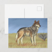 Mexikanischer Wolf Postkarte (Vorne/Hinten)