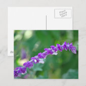 mexikanisches Alter Postkarte (Vorne/Hinten)