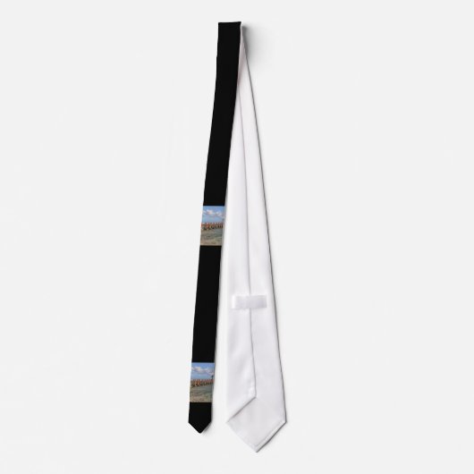 mexikanisches Gazebo Krawatte (Rückseite)