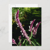 mexikanisches Kleid Postkarte (Vorne/Hinten)