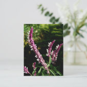 mexikanisches Kleid Postkarte (Stehend Vorderseite)