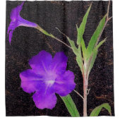 Mexikanisches Petunia Lila Duschvorhang (Vorderseite)