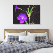 Mexikanisches Petunia Lila Leinwanddruck (Insitu (Schlafzimmer))