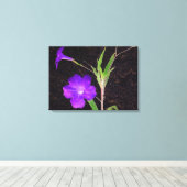 Mexikanisches Petunia Lila Leinwanddruck (Insitu (Holzboden))