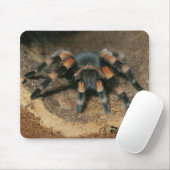 Mexikanisches Rotknie-Tarantula-Spinnenkeule Mousepad (Mit Mouse)