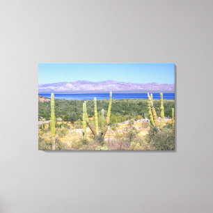 Mexiko, Baja California Sur, Cardon Cactus Leinwanddruck