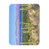Mexiko, Baja California Sur, Cardon Cactus Magnet (Vertikal)