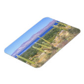 Mexiko, Baja California Sur, Cardon Cactus Magnet (Linke Seite)