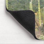 Mexiko, Baja California Sur, Cardon Cactus Mousepad (Ecke)