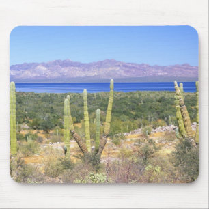 Mexiko, Baja California Sur, Cardon Cactus Mousepad