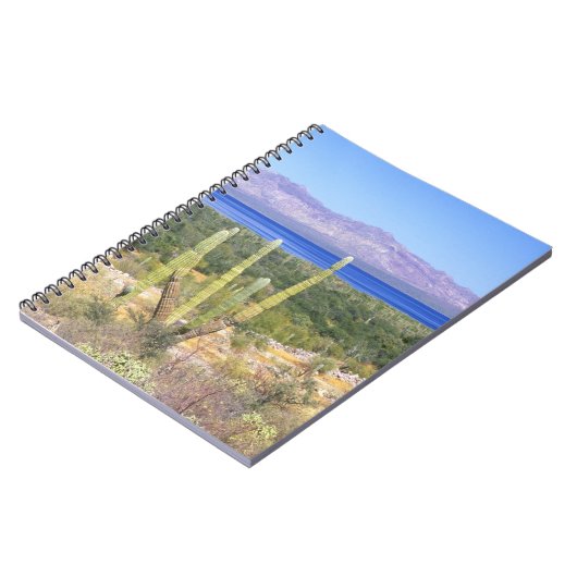 Mexiko, Baja California Sur, Cardon Cactus Notizblock (Linke Seite)