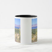 Mexiko, Baja California Sur, Cardon Cactus Tasse (Zentrum)