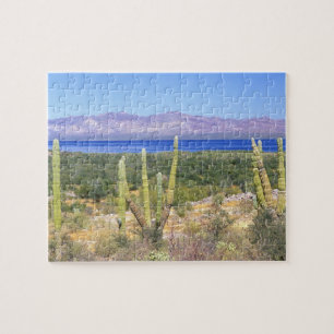 Mexiko, Baja California Sur, Cardon-Kaktus bei Puzzle