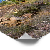 Mexiko, Baja California Sur, Mulege, Bahia 2 Poster (Ecke)