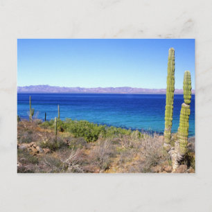 Mexiko, Baja California Sur, Mulege, Bahia 2 Postkarte
