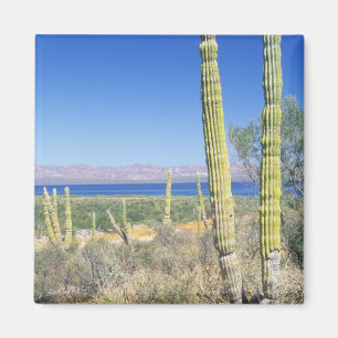 Mexiko, Baja California Sur, Mulege, Bahia Magnet