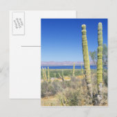 Mexiko, Baja California Sur, Mulege, Bahia Postkarte (Vorne/Hinten)