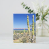 Mexiko, Baja California Sur, Mulege, Bahia Postkarte (Stehend Vorderseite)