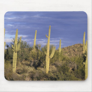 Mexiko, Baja del Norte, Catavina-Wüsten-Nationalpa Mousepad