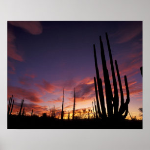 Mexiko, Baja del Norte, Wüste Catavina, National 3 Poster