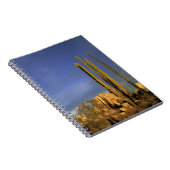 Mexiko, Baja del Norte, Wüstenstaat Catavina Notizblock (Rechte Seite)