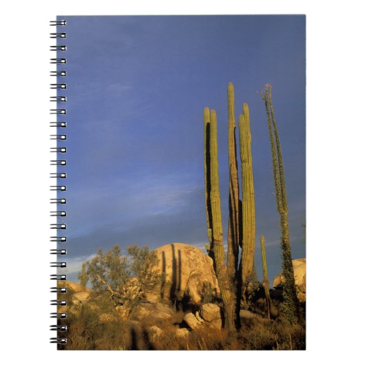 Mexiko, Baja del Norte, Wüstenstaat Catavina Notizblock (Vorderseite)