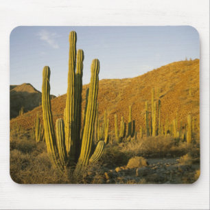 Mexiko, Baja, Santa Catalina Insel, Meer Mousepad