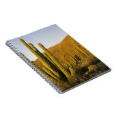 Mexiko, Baja, Santa Catalina Island, Meer Notizblock (Rechte Seite)