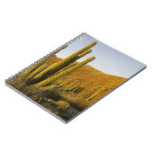 Mexiko, Baja, Santa Catalina Island, Meer Notizblock (Linke Seite)