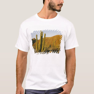 Mexiko, Baja, Santa Catalina Island, Meer von T-Shirt
