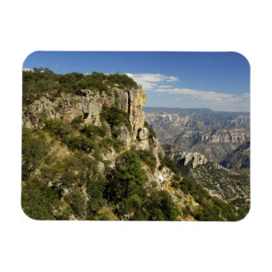 Mexiko, Bundesstaat Chihuahua, Copper Canyon. DIES Magnet