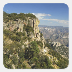 Mexiko, Bundesstaat Chihuahua, Copper Canyon. DIES Quadratischer Aufkleber